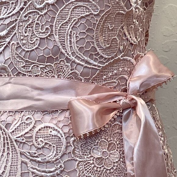 ~ NEW** Adrianna Papell 14 Cocktail Dress Blush Crochet Strapless Lace Mini Knee - Picture 10 of 14